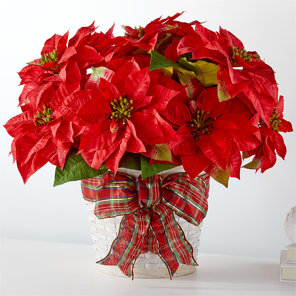 Happiest Holidays Poinsettia – Harpers House Of Flowers, Goldsboro NC