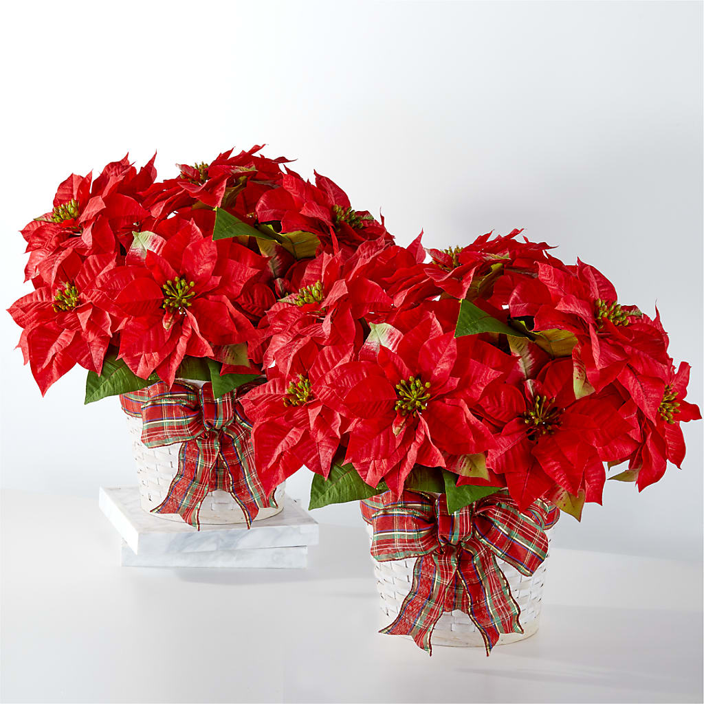 Happiest Holidays Poinsettia Bundle – Harpers House Of Flowers, Goldsboro NC