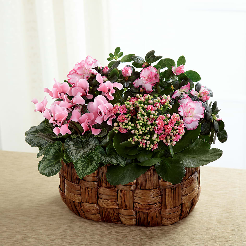 Pink Assortment – Harpers House Of Flowers, Goldsboro NC