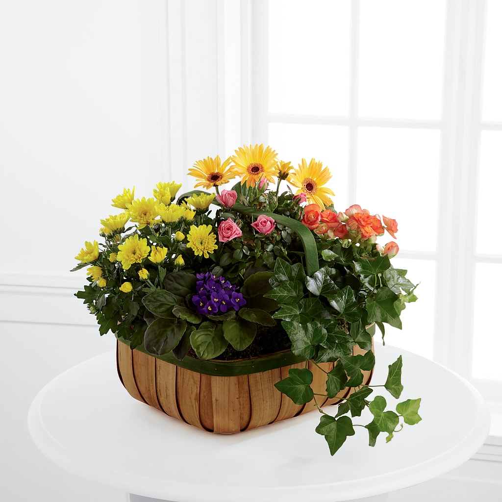 Gentle Blossoms Basket – Harpers House Of Flowers, Goldsboro NC