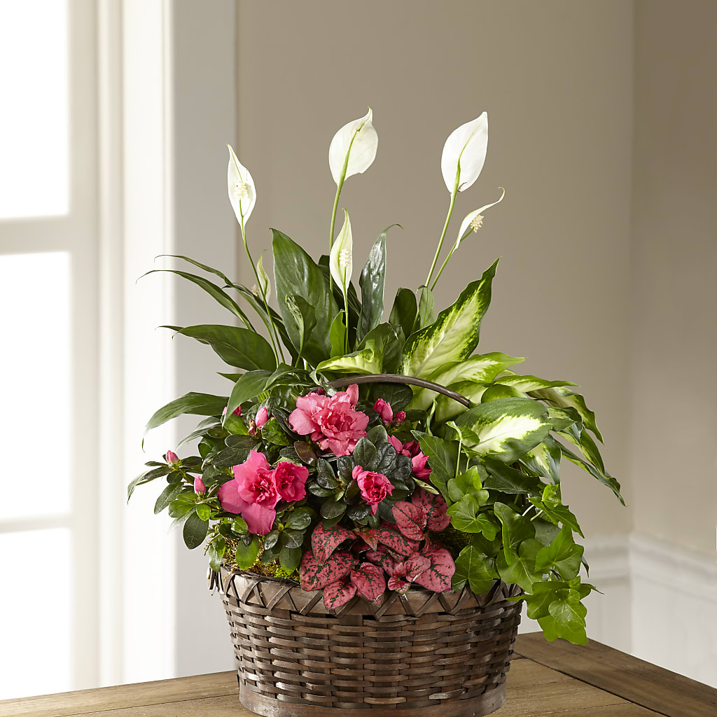 Dream in Pink Dishgarden – Harpers House Of Flowers, Goldsboro NC
