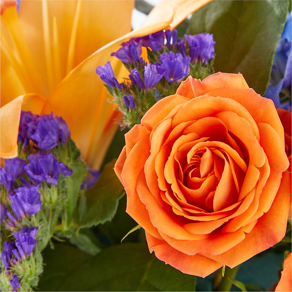 Radiant Citrus Box Bouquet – Harpers House Of Flowers, Goldsboro NC