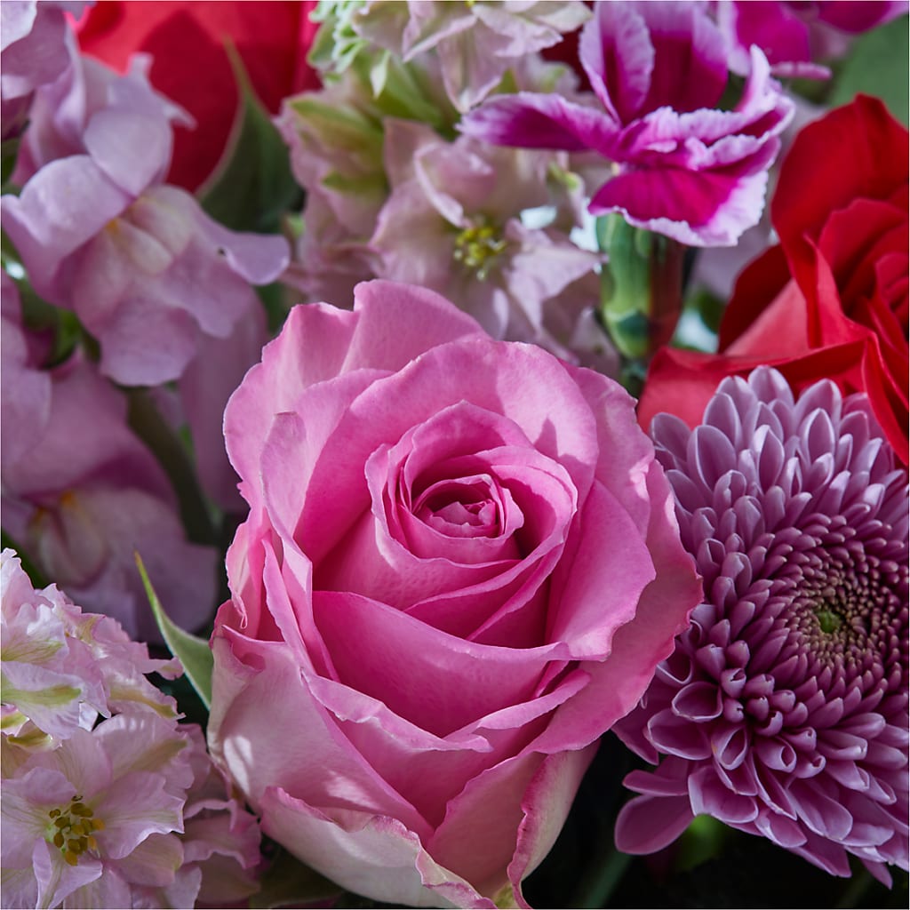 Better Together - A Luxury Florist Original – Harpers House Of Flowers, Goldsboro NC