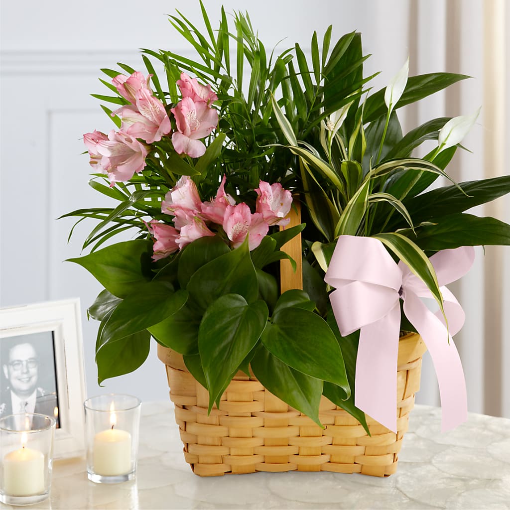 Living Spirit Dishgarden – Harpers House Of Flowers, Goldsboro NC