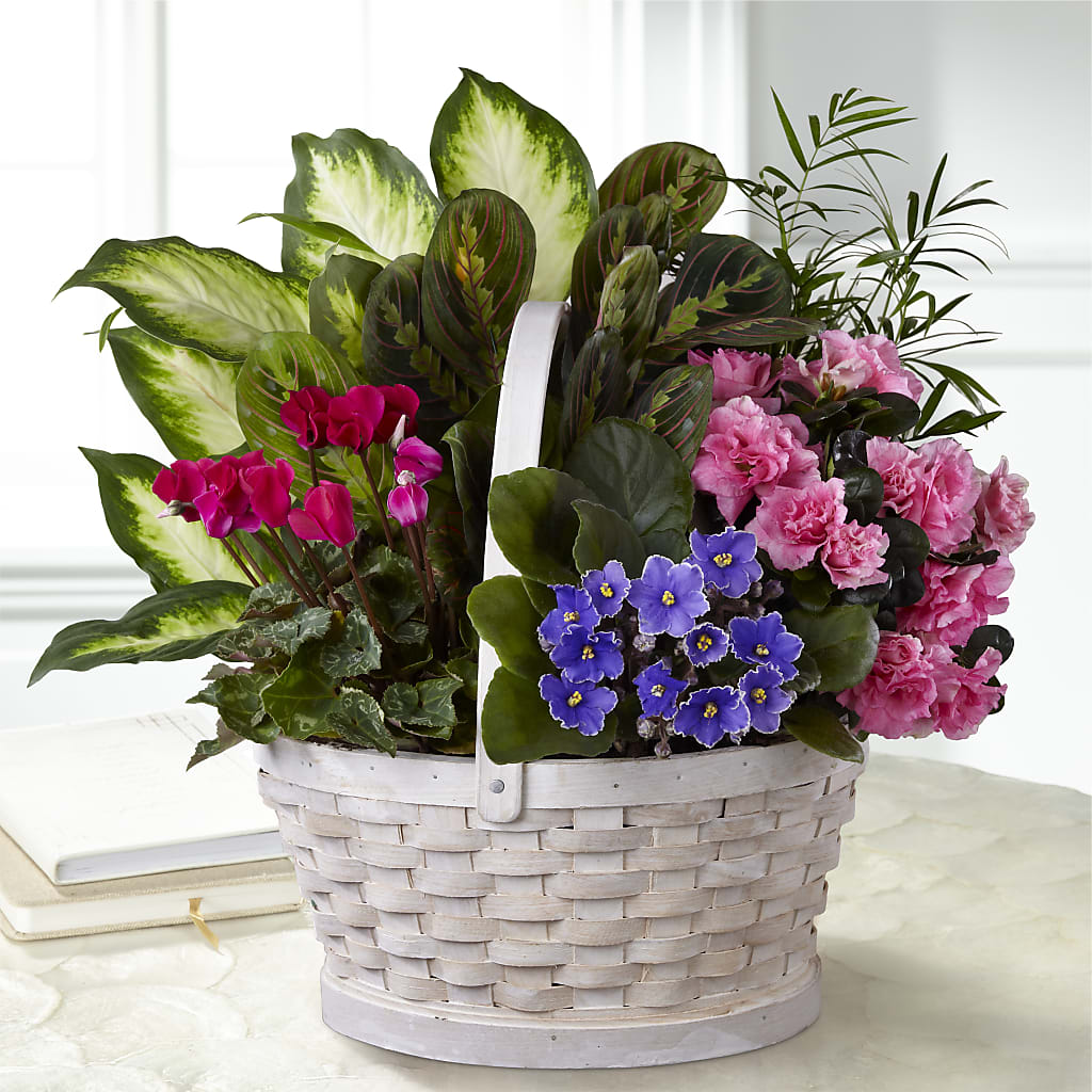 Peaceful Garden Planter – Harpers House Of Flowers, Goldsboro NC