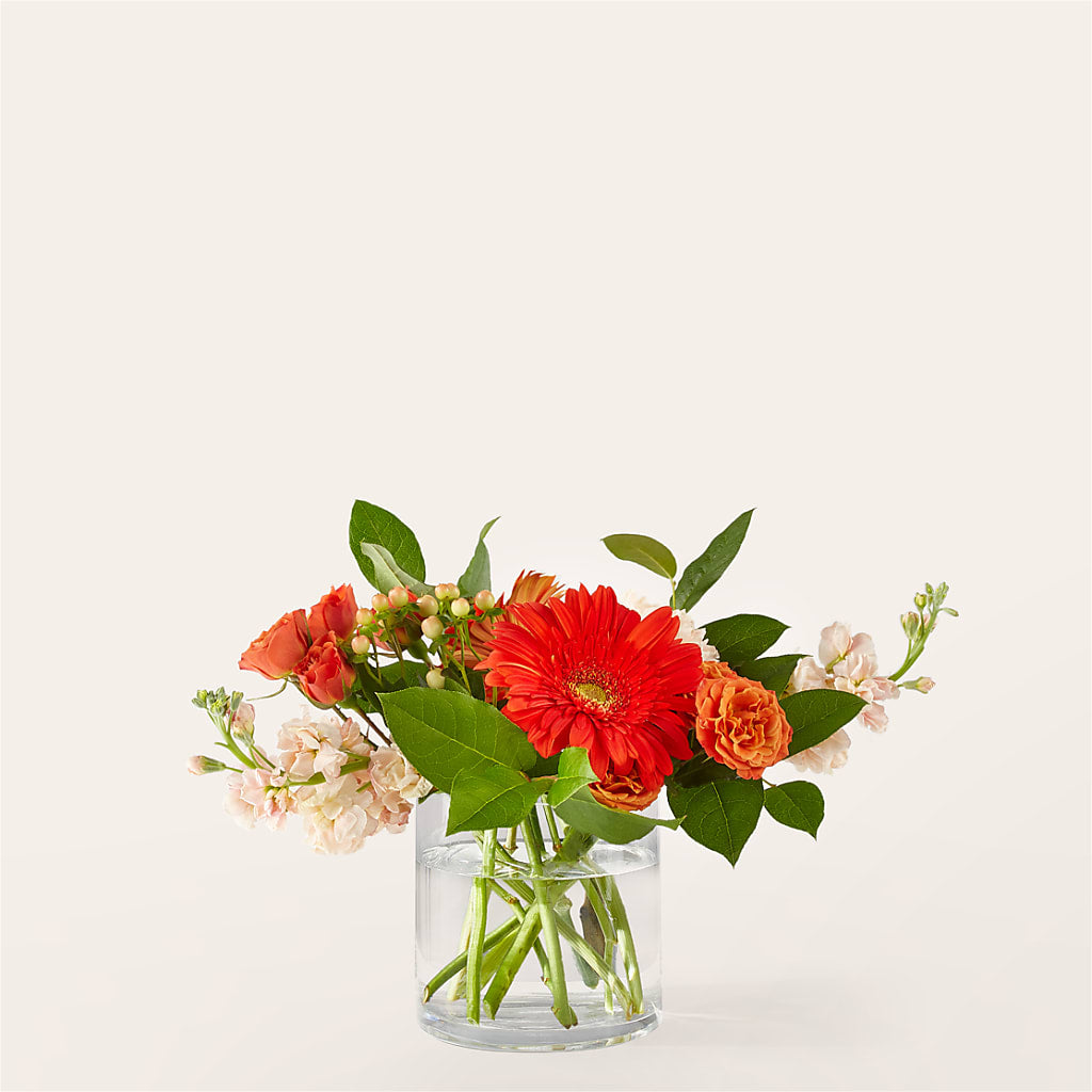 Paloma Please Bouquet – Harpers House Of Flowers, Goldsboro NC