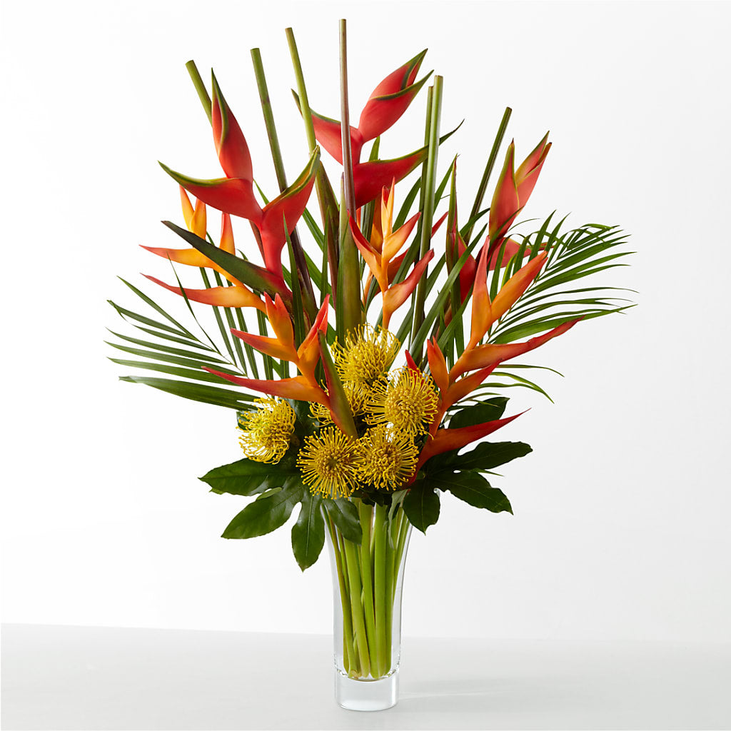 The Drama – Harpers House Of Flowers, Goldsboro NC