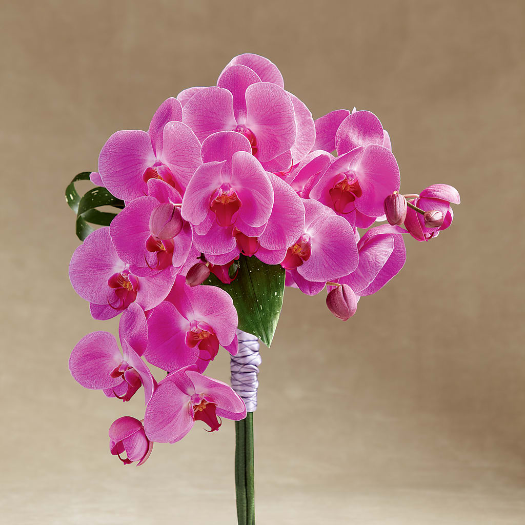 Glorious Bouquet – Harpers House Of Flowers, Goldsboro NC