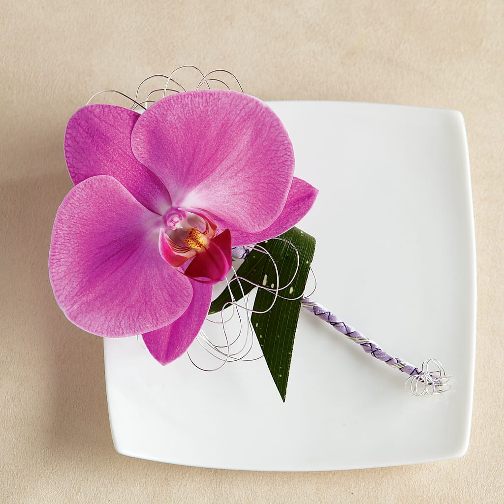 Glorious Boutonniere – Harpers House Of Flowers, Goldsboro NC