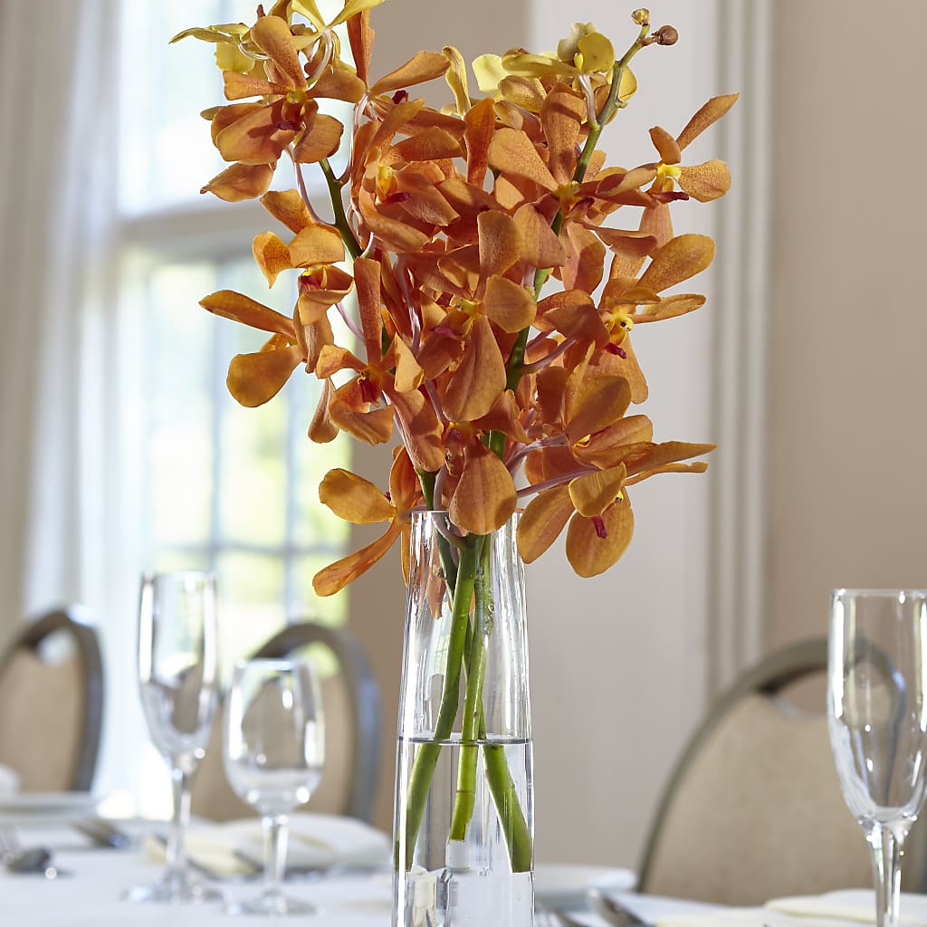 Orange Mokara Bud Vase – Harpers House Of Flowers, Goldsboro NC