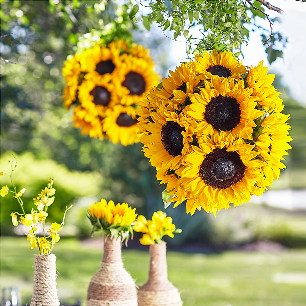 Sublime Garden Hanging Arrangement – Harpers House Of Flowers, Goldsboro NC