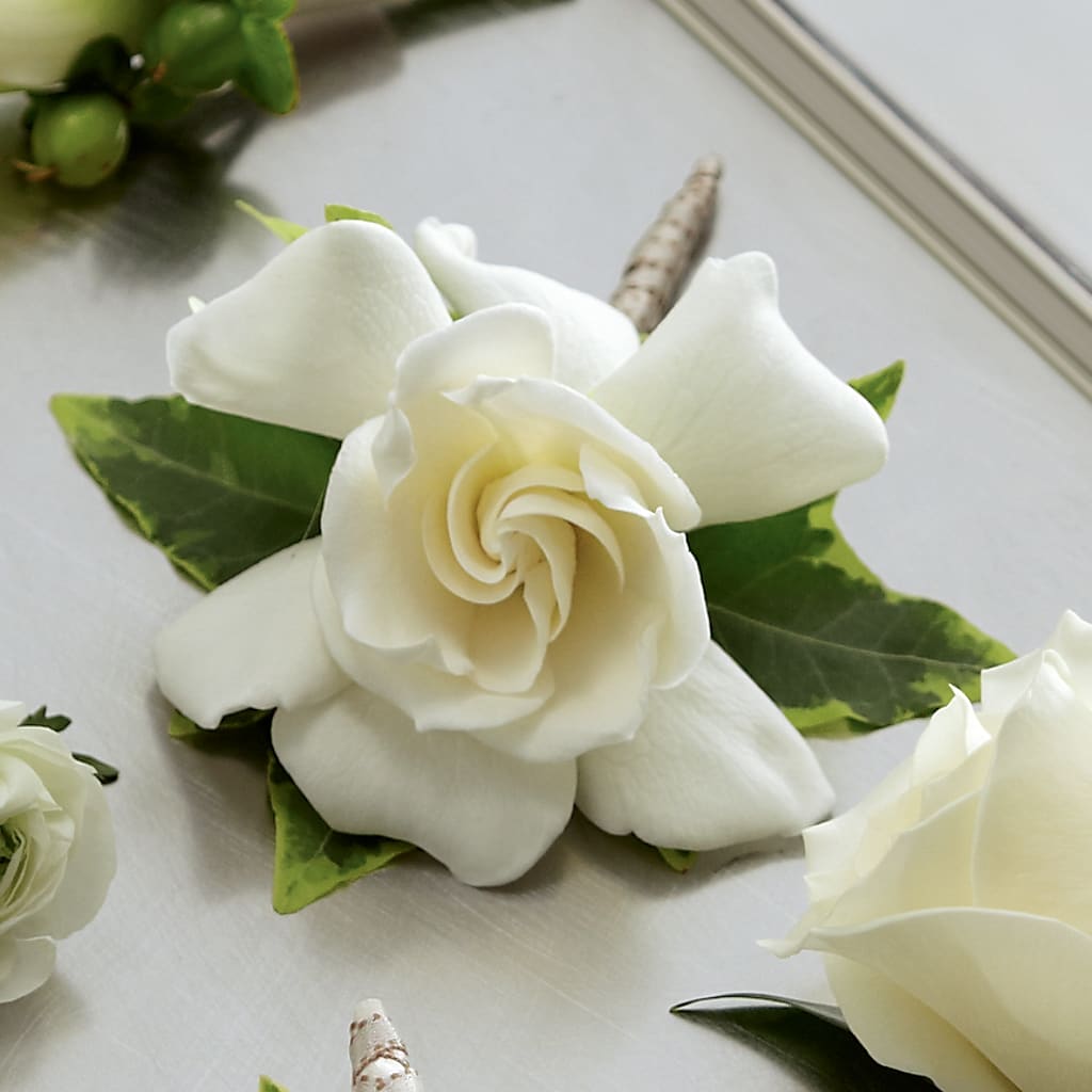 Gardenia Boutonniere – Harpers House Of Flowers, Goldsboro NC