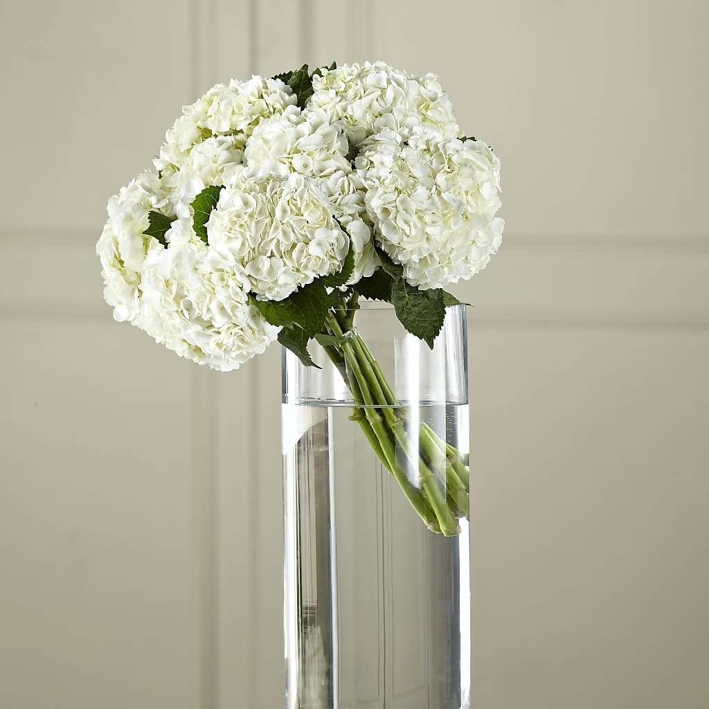 White Hydrangea Hand-Tied Bouquet – Harpers House Of Flowers, Goldsboro NC