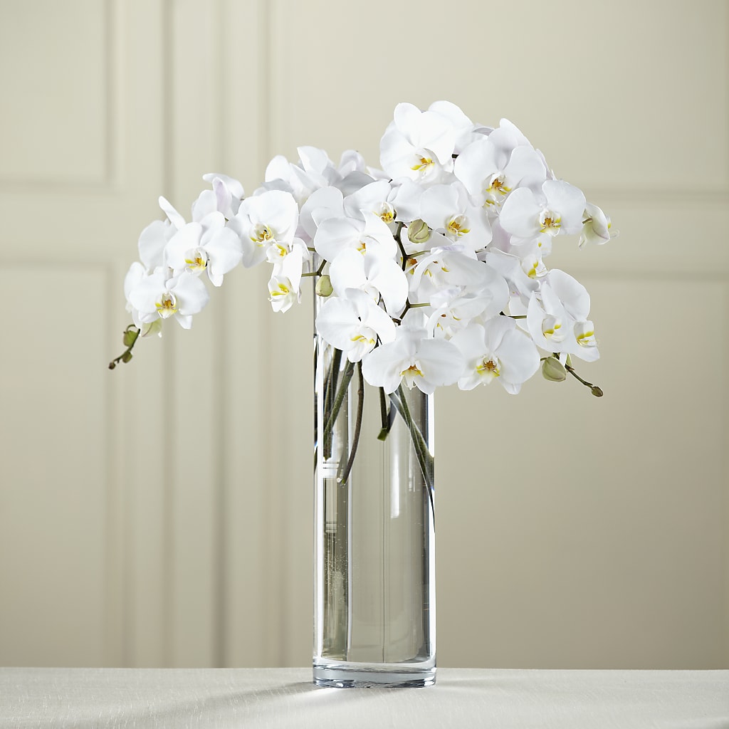 White Phalaenopsis Bouquet – Harpers House Of Flowers, Goldsboro NC