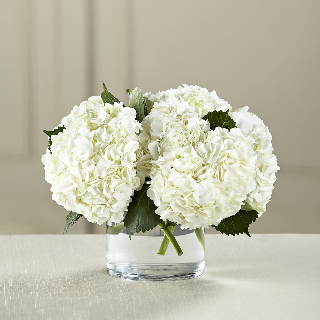 White Hydrangea Bouquet – Harpers House Of Flowers, Goldsboro NC