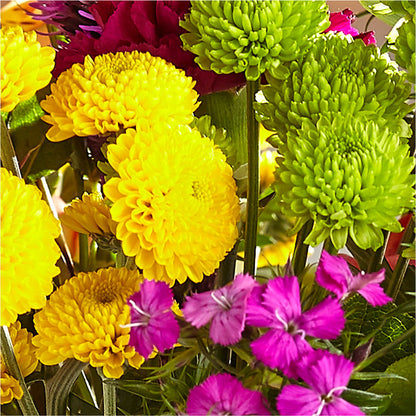 Bold & Bright – A Florist Original –  Harpers House Of Flowers, Goldsboro NC