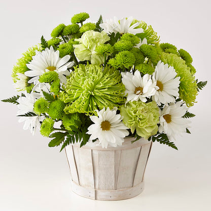Lucky Charm Basket (Standard) –  Harpers House Of Flowers, Goldsboro NC