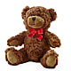 Adorable Plush Bear –  Harpers House Of Flowers, Goldsboro NC