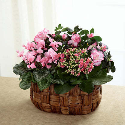 Pink Assortment –  Harpers House Of Flowers, Goldsboro NC