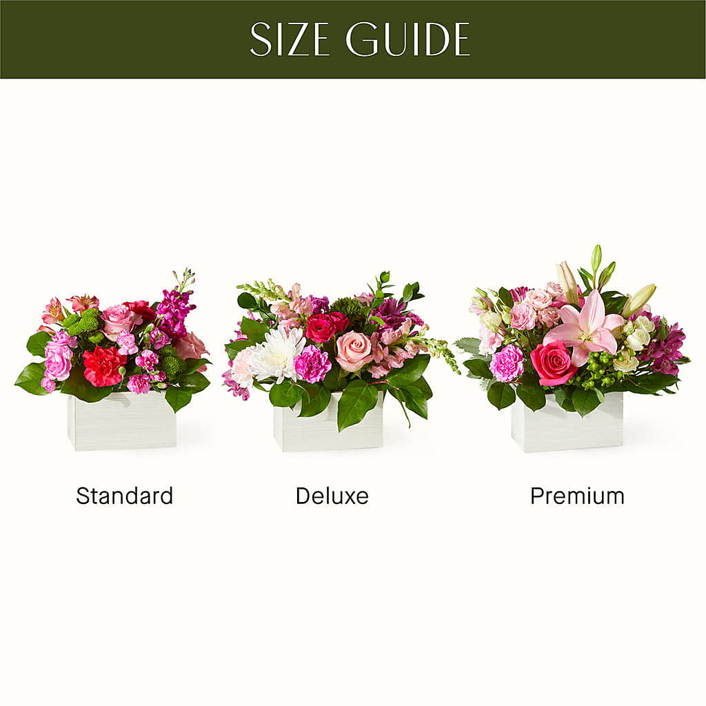 Sweetberry Box – A Florist Original –  Harpers House Of Flowers, Goldsboro NC