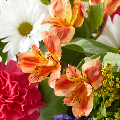 Oopsie Daisy Box Bouquet –  Harpers House Of Flowers, Goldsboro NC