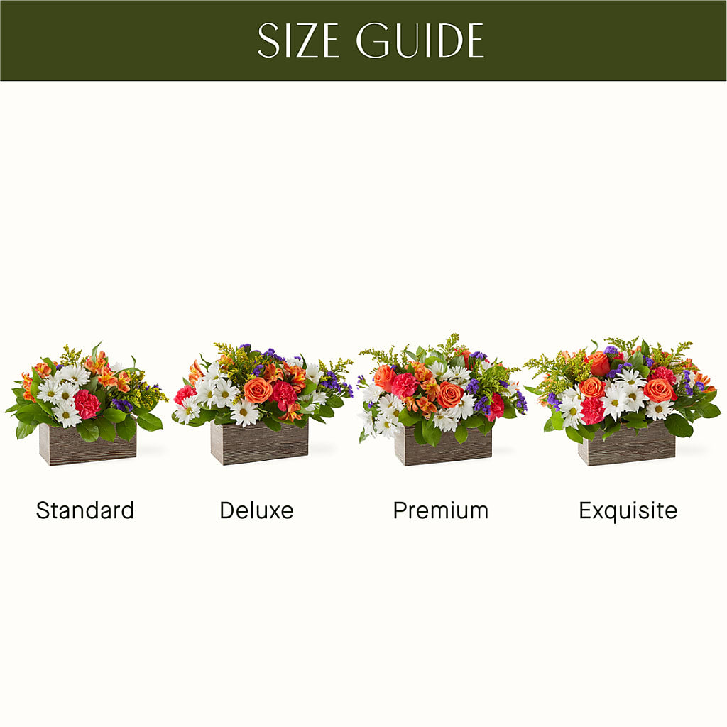 Oopsie Daisy Box Bouquet –  Harpers House Of Flowers, Goldsboro NC