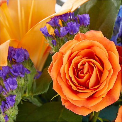 Radiant Citrus Box Bouquet –  Harpers House Of Flowers, Goldsboro NC