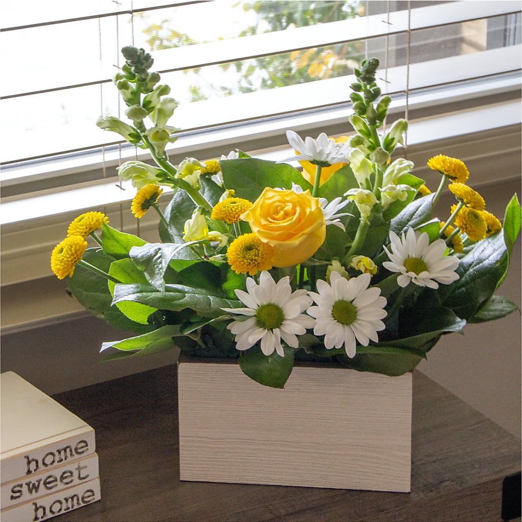 Sun Salutation Box Bouquet –  Harpers House Of Flowers, Goldsboro NC
