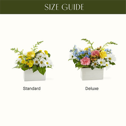 Sun Salutation Box Bouquet –  Harpers House Of Flowers, Goldsboro NC