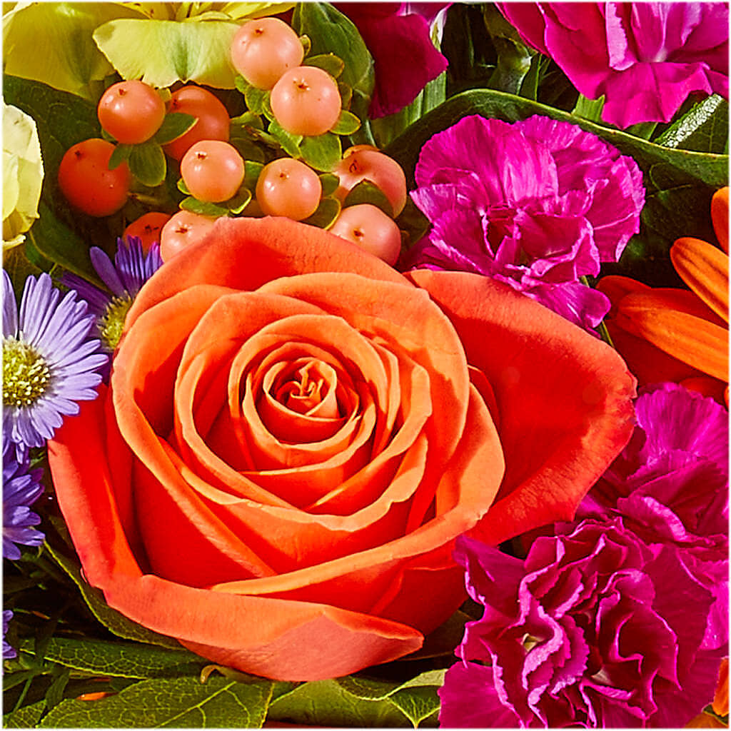 Tricks & Treats Pumpkin –  Harpers House Of Flowers, Goldsboro NC