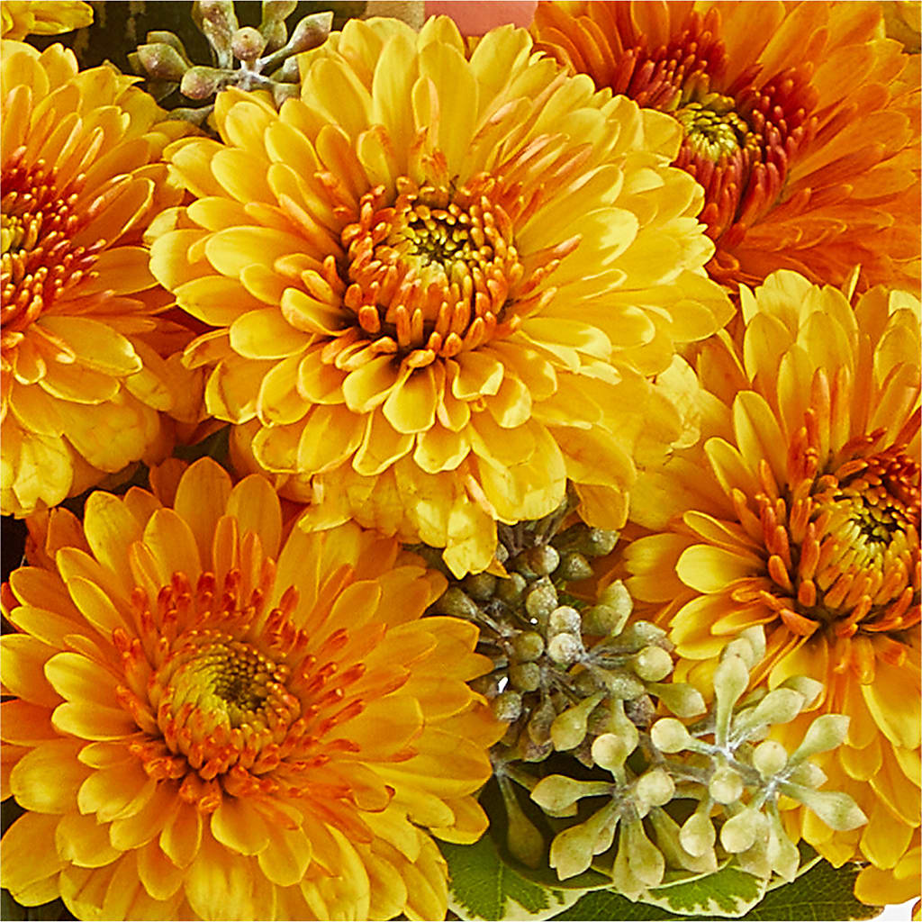 Peachy Pumpkin –  Harpers House Of Flowers, Goldsboro NC