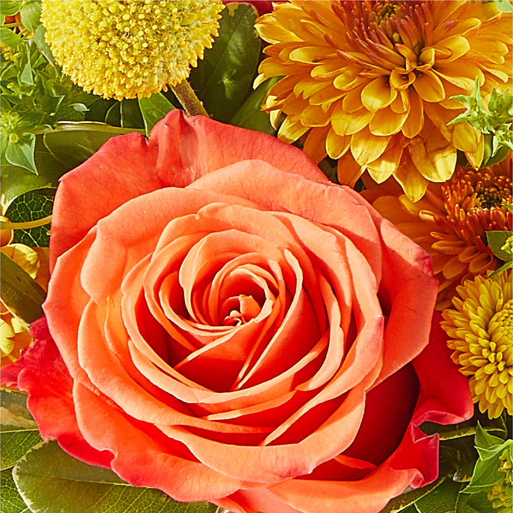 Gourdgeous Pumpkin –  Harpers House Of Flowers, Goldsboro NC