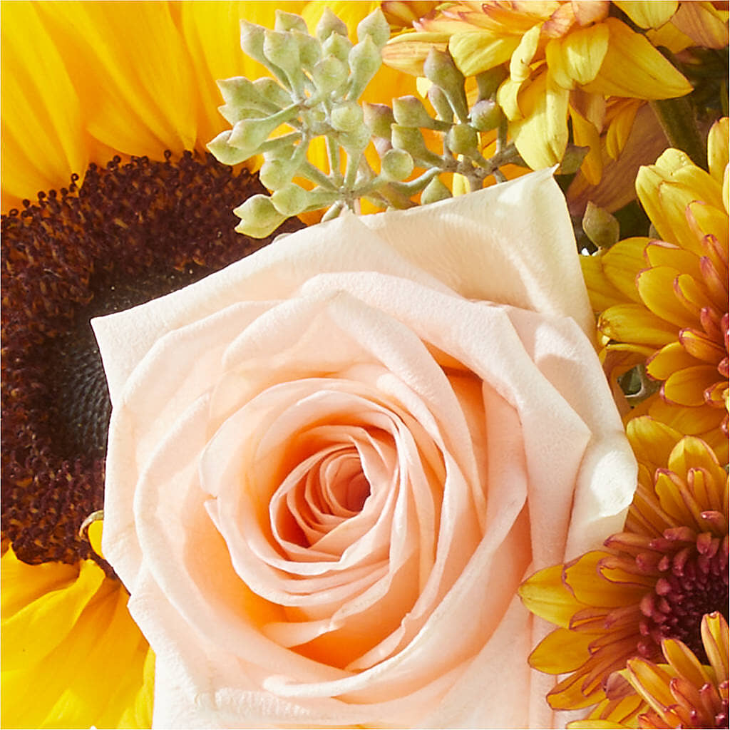 Pumpkin to Talk About Bouquet –  Harpers House Of Flowers, Goldsboro NC