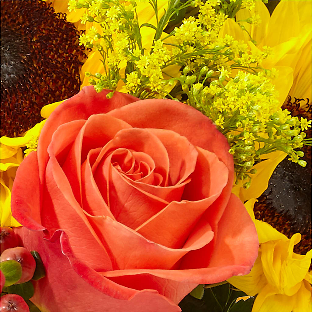 Pick of the Patch Pumpkin Bouquet –  Harpers House Of Flowers, Goldsboro NC