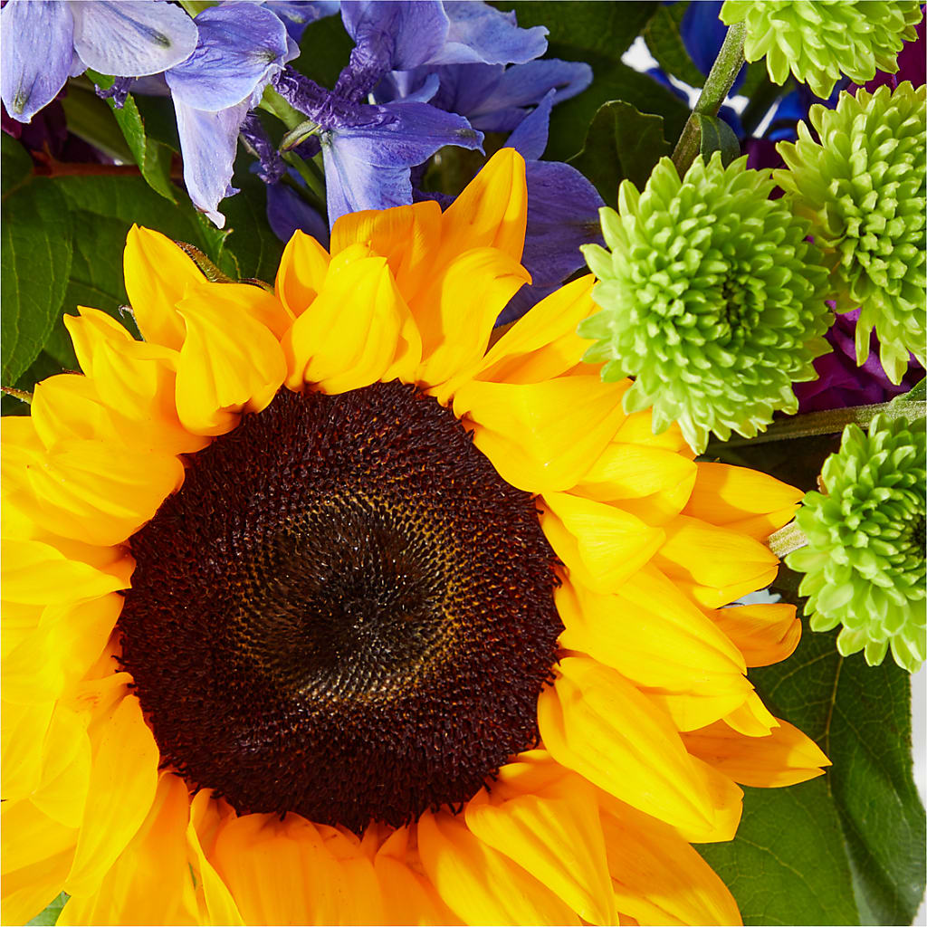 Catching Rays Bouquet –  Harpers House Of Flowers, Goldsboro NC