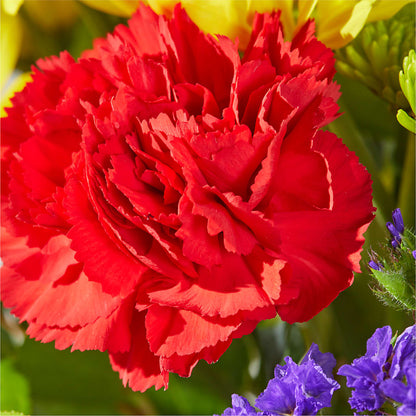 Brighter Days Bouquet –  Harpers House Of Flowers, Goldsboro NC