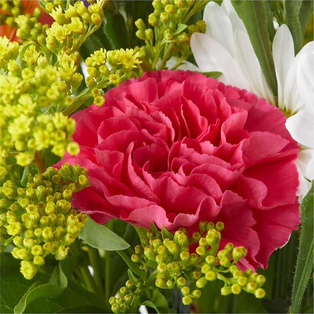 Oopsie Daisy Bouquet –  Harpers House Of Flowers, Goldsboro NC