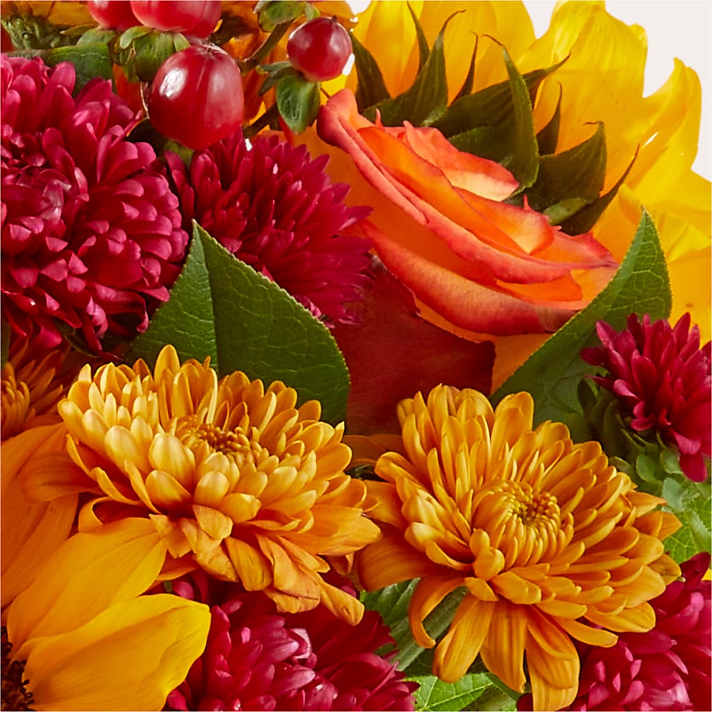 Sweater Season - A Florist Original –  Harpers House Of Flowers, Goldsboro NC