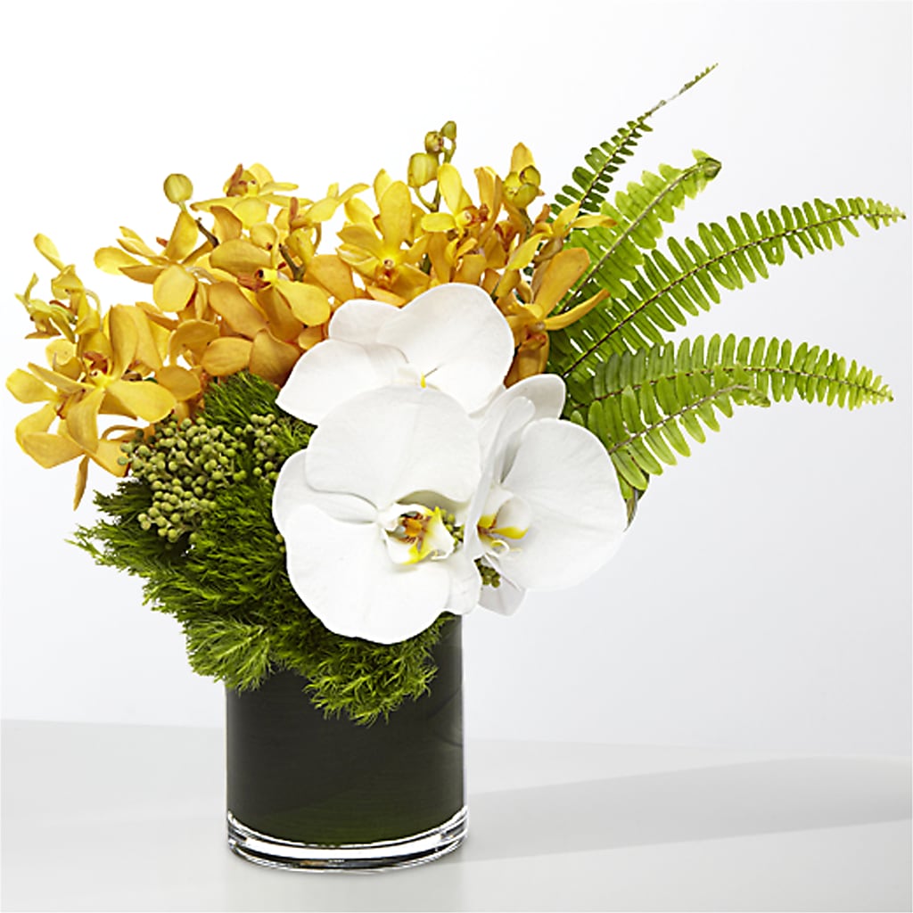 The Tropics –  Harpers House Of Flowers, Goldsboro NC