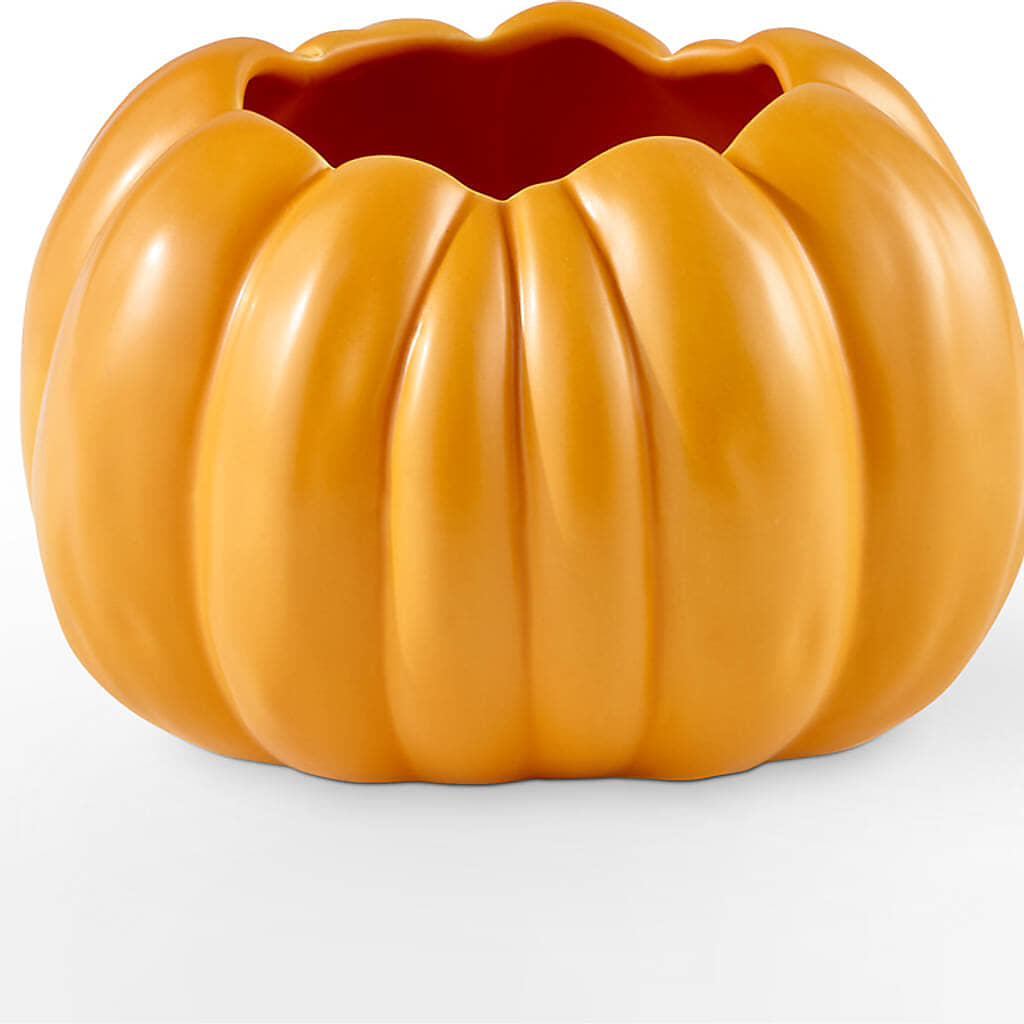 Golden Gourd Pumpkin Bouquet –  Harpers House Of Flowers, Goldsboro NC