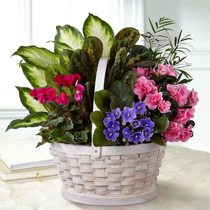 Peaceful Garden Planter –  Harpers House Of Flowers, Goldsboro NC