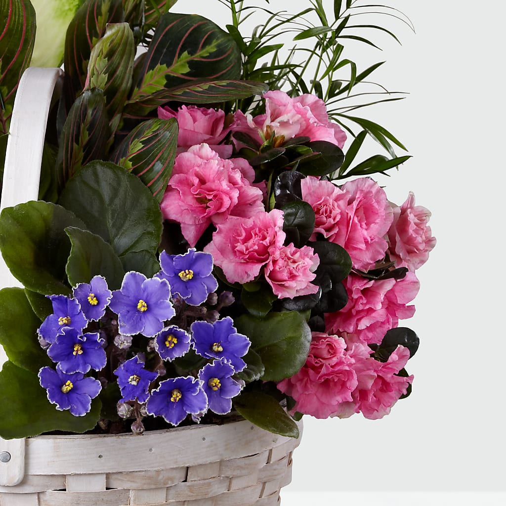 Peaceful Garden Planter –  Harpers House Of Flowers, Goldsboro NC