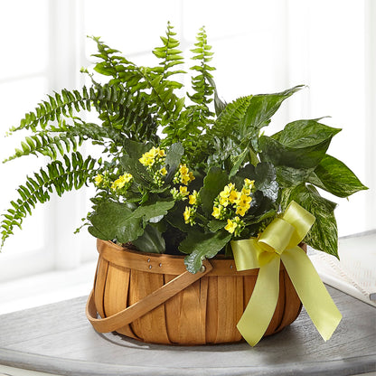 Always Dear Dishgarden –  Harpers House Of Flowers, Goldsboro NC