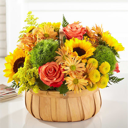 Harvest Sunflower Basket –  Harpers House Of Flowers, Goldsboro NC