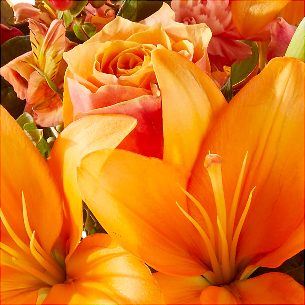 Afternoon Light Bouquet –  Harpers House Of Flowers, Goldsboro NC
