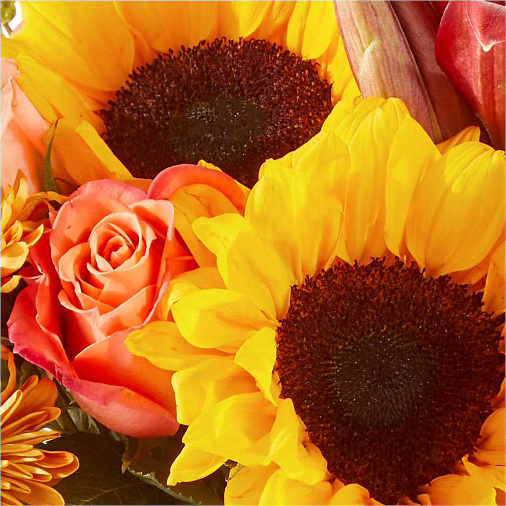 Acorn Lane Bouquet –  Harpers House Of Flowers, Goldsboro NC