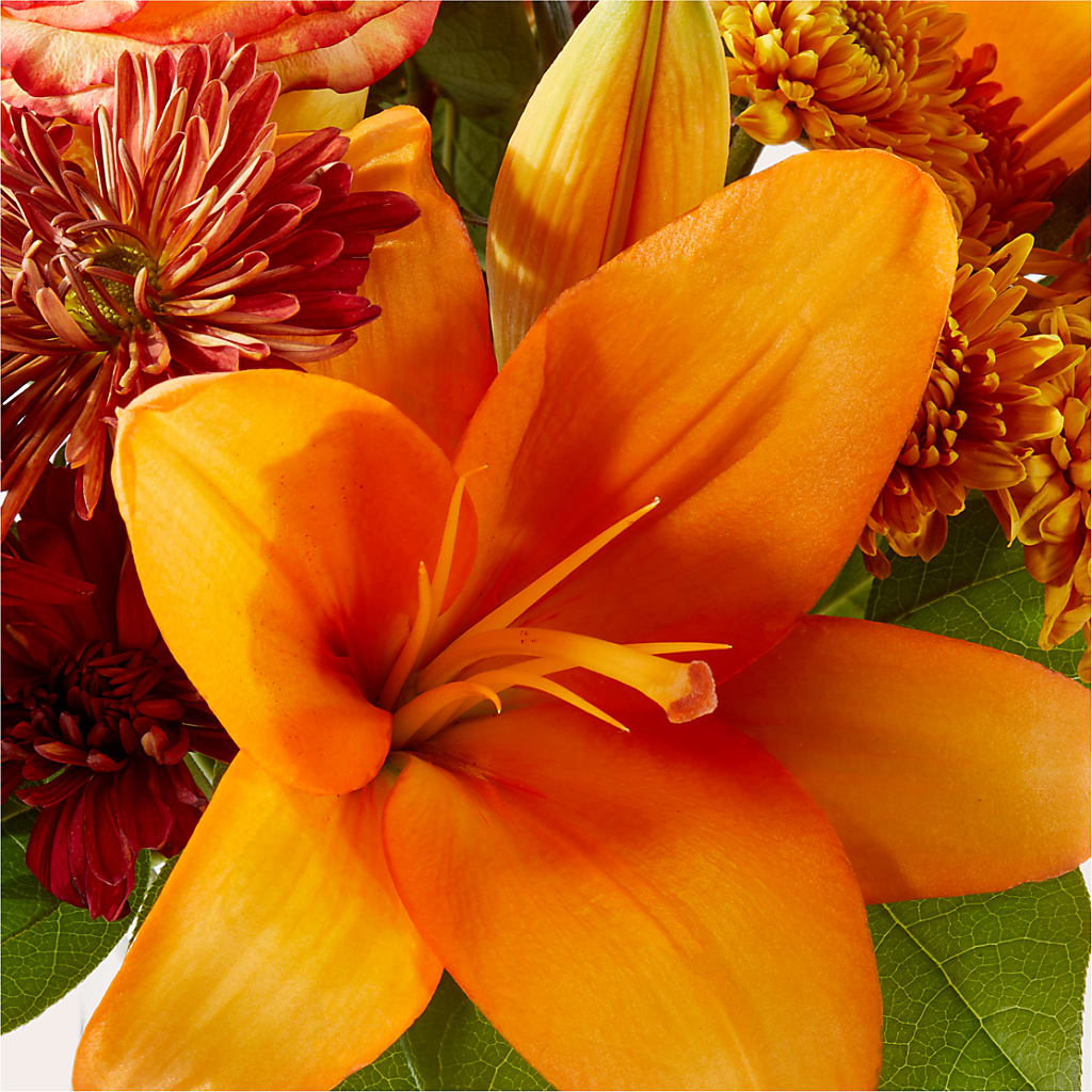 Autumnal Aroma Bouquet –  Harpers House Of Flowers, Goldsboro NC