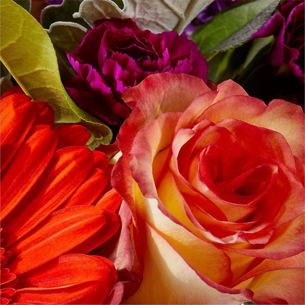 Sangria Bouquet –  Harpers House Of Flowers, Goldsboro NC