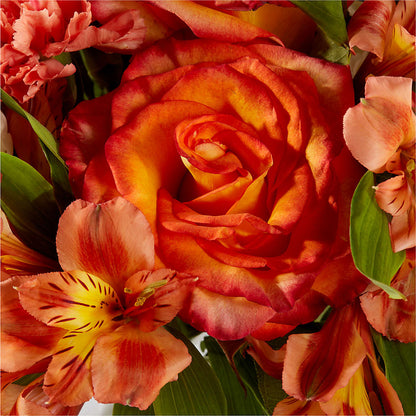 Apricot Glow Bouquet –  Harpers House Of Flowers, Goldsboro NC