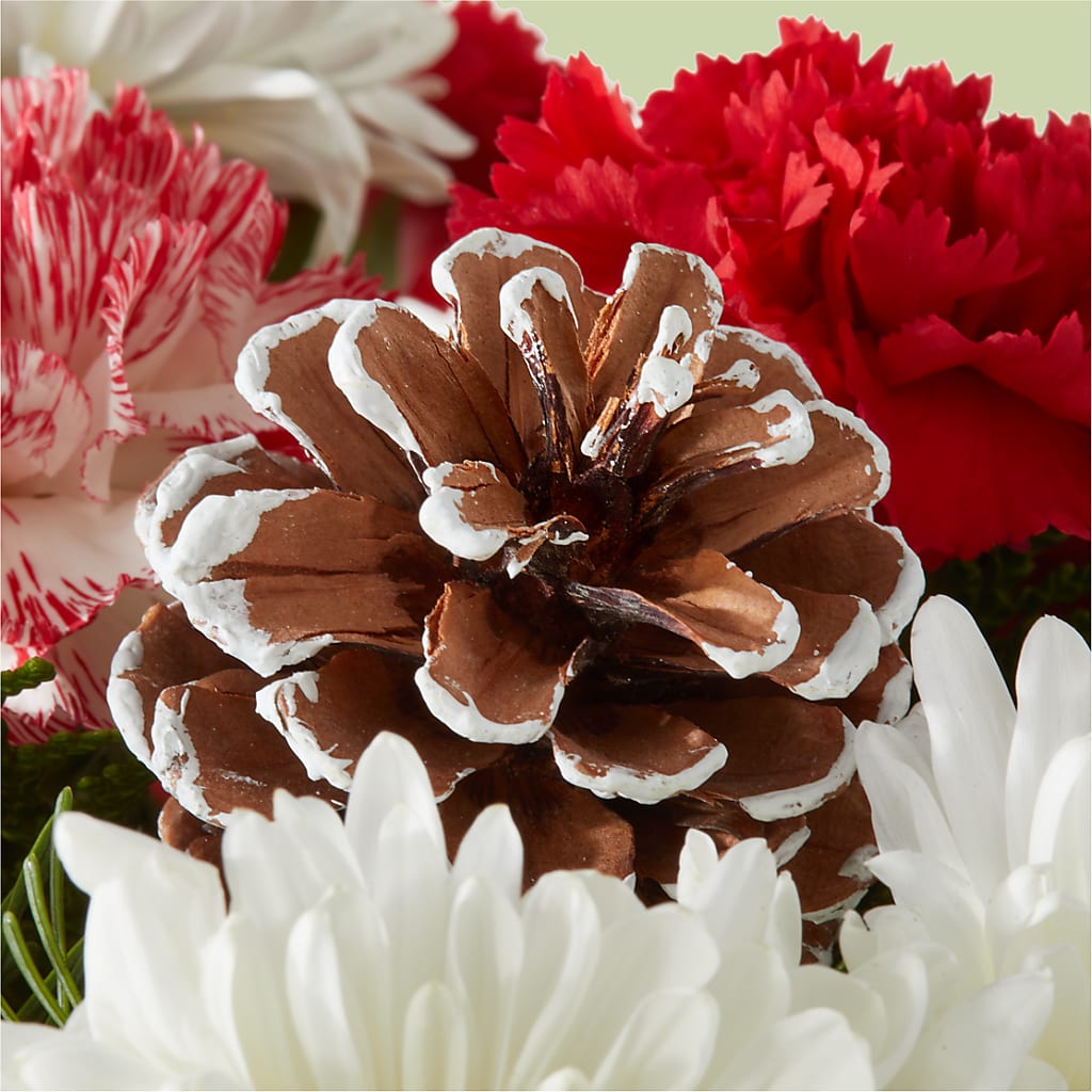 Candy Cane Lane Bouquet –  Harpers House Of Flowers, Goldsboro NC